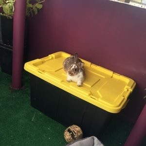 Meet your Posher, Sharon